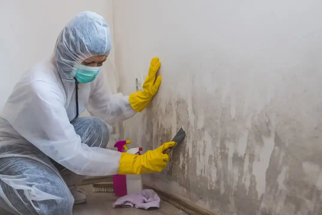 water damage restoration service Daniel Lake-Mason Blvd